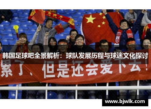 韩国足球吧全景解析：球队发展历程与球迷文化探讨